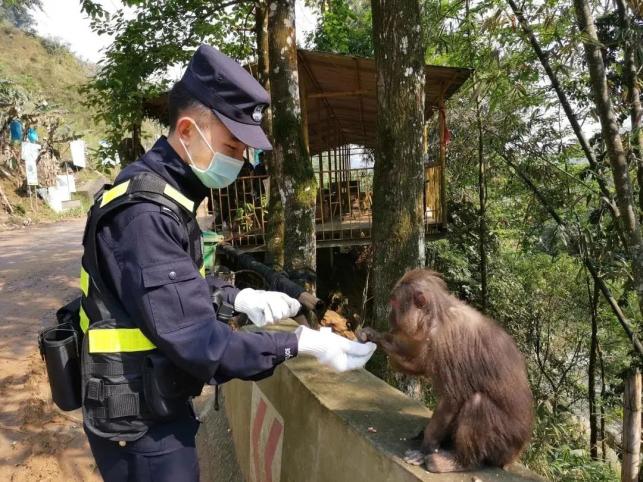 蠻耗邊境檢查站民輔警在金河鎮枯岔河村委會枯岔河便道開展巡邏堵卡時