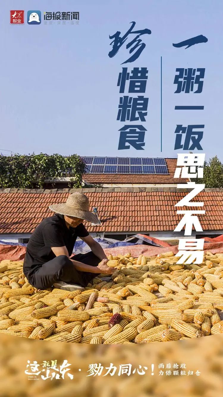 这就是山东丨勠力同心雨后抢收力保颗粒归仓
