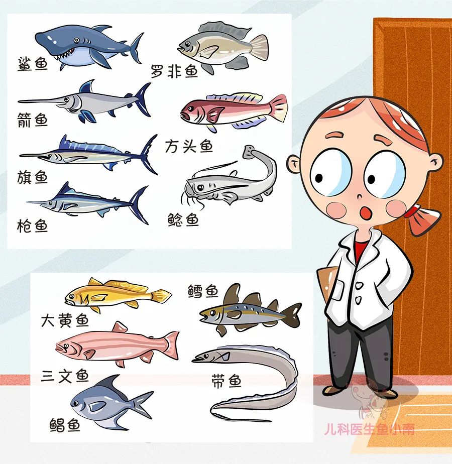 个头大,生长期长的鱼,比如鲨鱼,箭鱼,旗鱼,枪鱼,罗非鱼,方头鱼,鲶鱼等