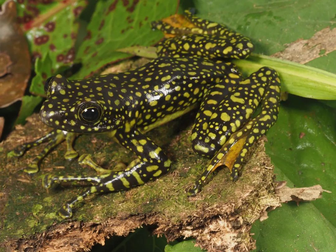 推荐| 云南,怎么可以这么好看!