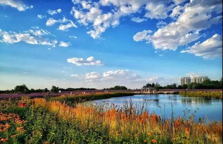 秋季金昌是色彩最斑斓的