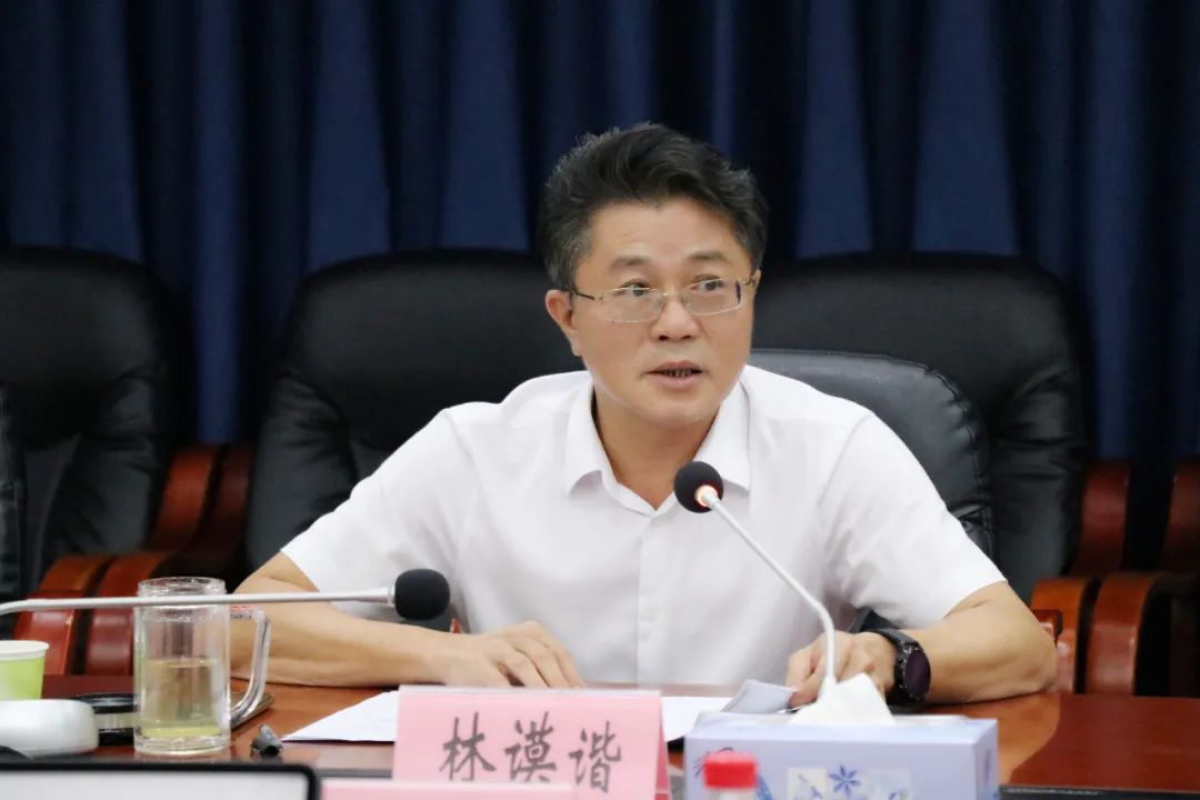 新闻快讯乡村振兴林谟谐主持召开打造王下乡乡村振兴样板推进会议