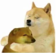 为什么牙医不用开口器掉下巴更惨的其实是牙医_https://www.jmylbn.com_新闻资讯_第3张