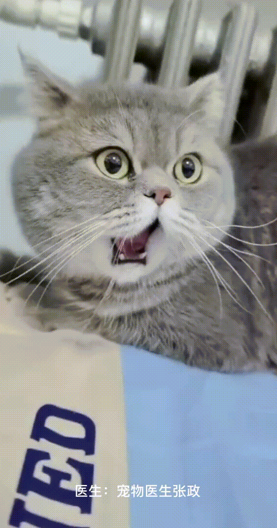 为什么牙医不用开口器掉下巴更惨的其实是牙医_https://www.jmylbn.com_新闻资讯_第4张