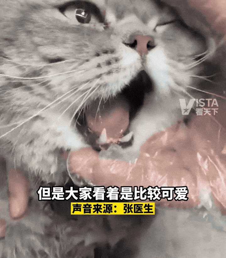 为什么牙医不用开口器掉下巴更惨的其实是牙医_https://www.jmylbn.com_新闻资讯_第5张