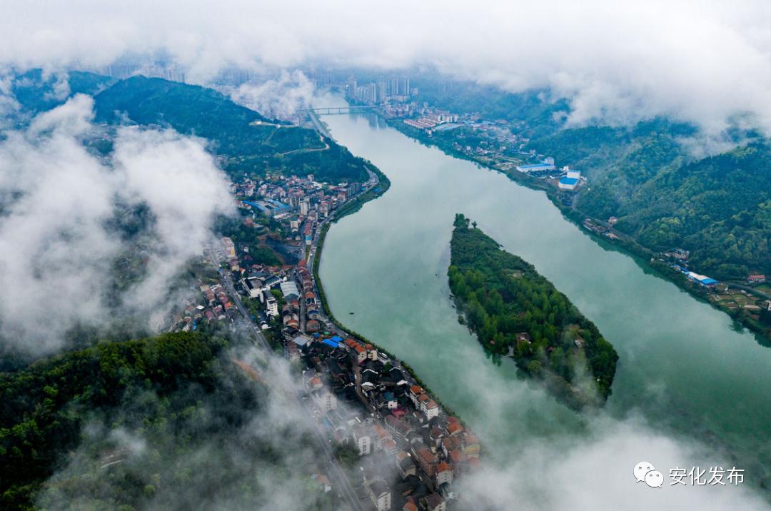 第五届湖南61安化黑茶文化节新闻发布会在长沙召开