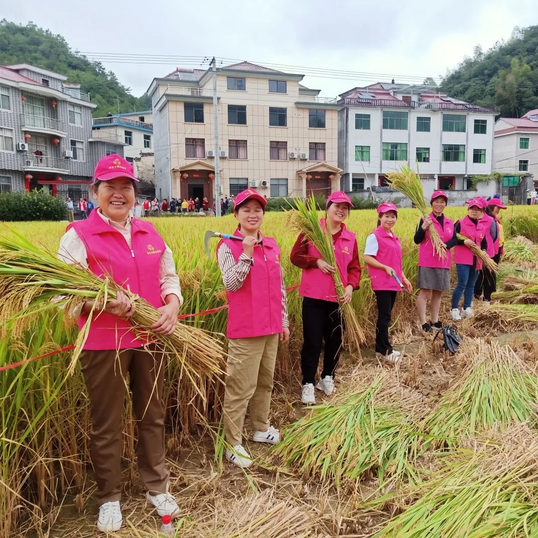 淳安婦聯 今天,在淳安縣安陽鄉昌墅村的田野裡,魅力獨特的非遺草龍