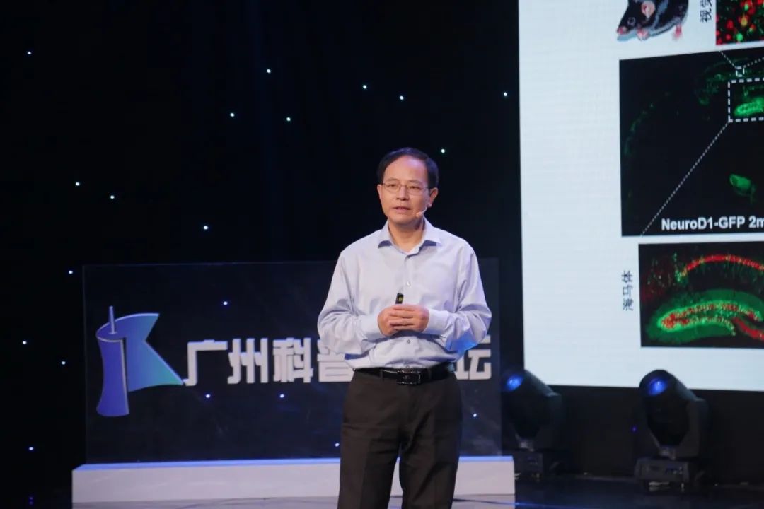 广州科普大讲坛：走进脑科学——自然科学的“终极疆域”