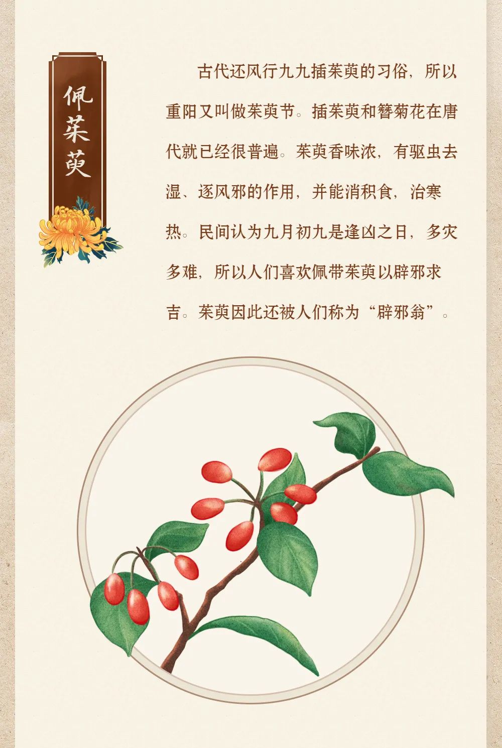 今日重阳 | 九九重阳 习俗知多少