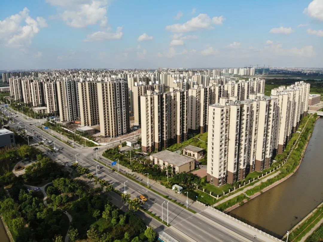 上海推进 “美丽庭院”建设，惠南镇万余户完成达标评定|界面新闻 · 图片