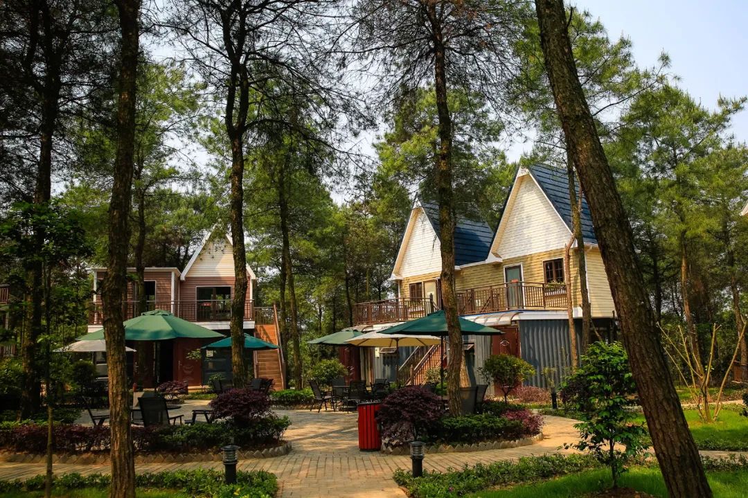 休闲又洗肺周末来玉峰山森呼吸