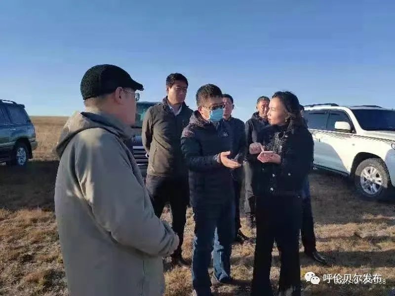 市领导深入陈旗调研呼伦湖生态环境保护治理项目建设工作