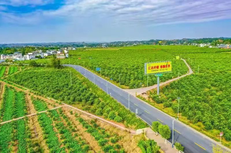 发布会丨潼南:"柠"聚世界 筑"檬"乡村