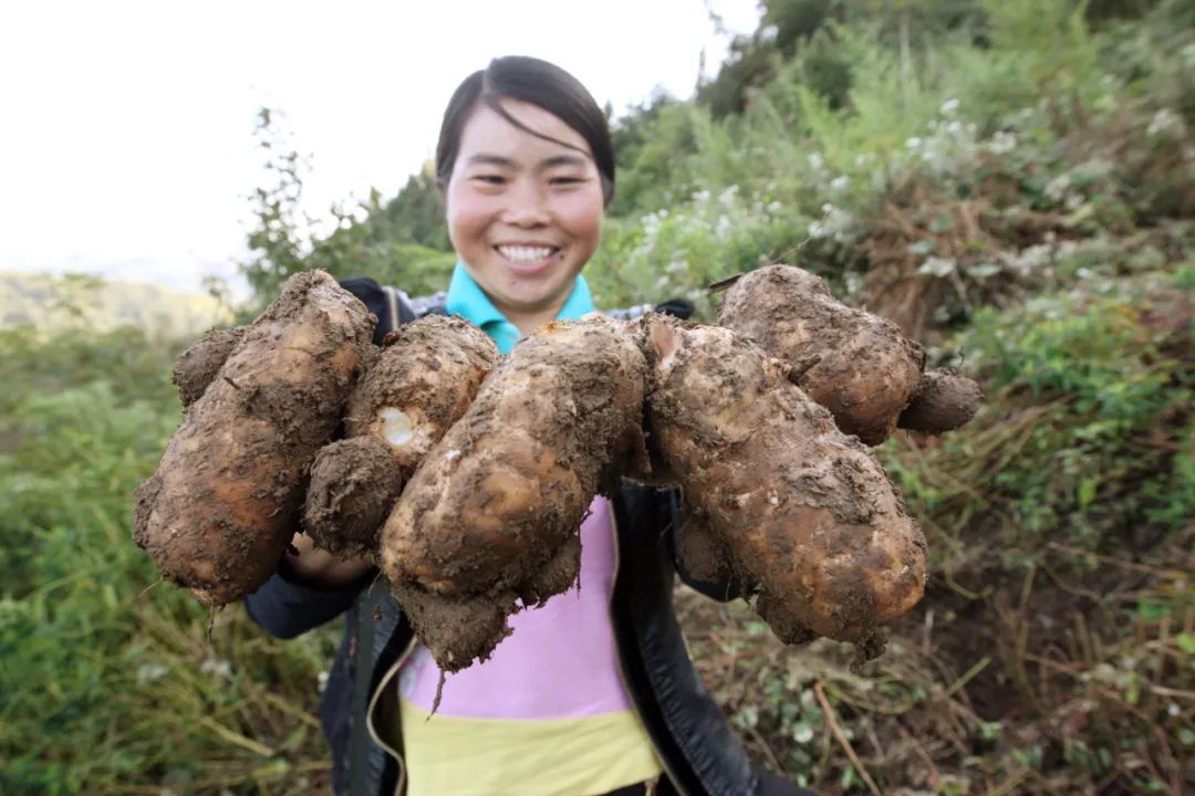 聚焦cop15專家聚焦昆明宣言云南生物多樣性保護的重大機遇