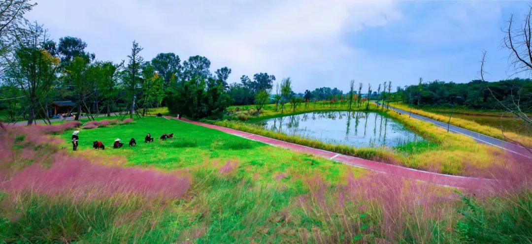 自贡青龙湖公园图片
