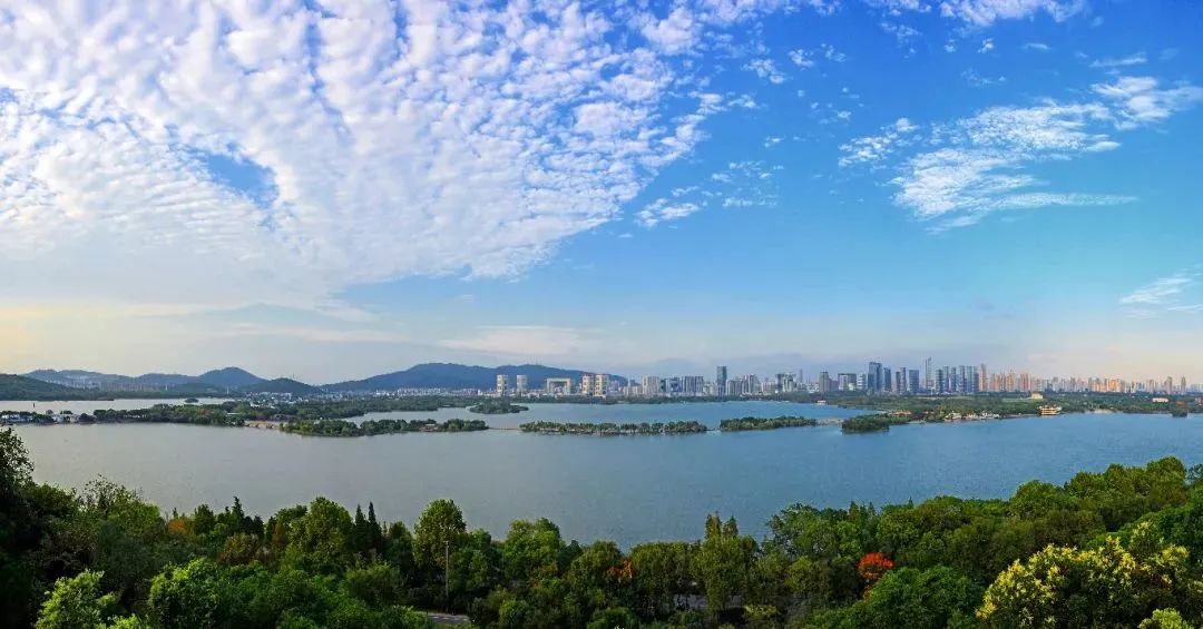 进发大湾区滨湖发展触角延伸至最前沿