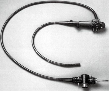 一次性肛门镜怎么检查结直肠肛门疾病的诊断——体格检查_https://www.jmylbn.com_新闻资讯_第4张