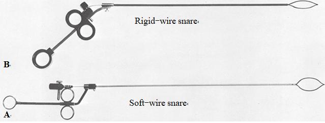 一次性肛门镜怎么检查结直肠肛门疾病的诊断——体格检查_https://www.jmylbn.com_新闻资讯_第6张