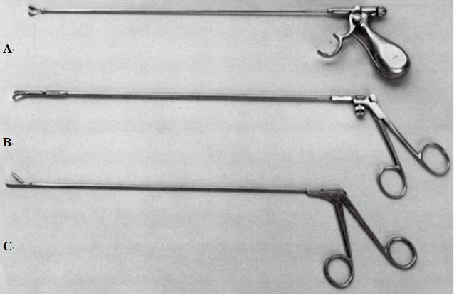 一次性肛门镜怎么检查结直肠肛门疾病的诊断——体格检查_https://www.jmylbn.com_新闻资讯_第7张