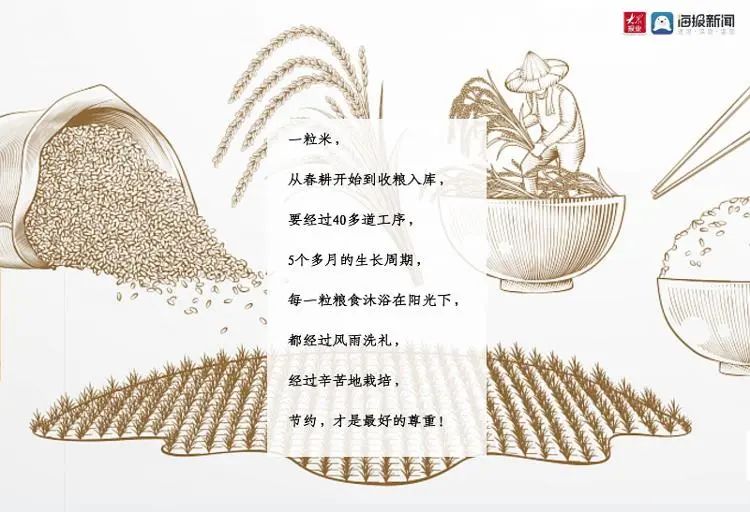 世界粮食日丨一粒米要闯多少关才能成为盘中餐