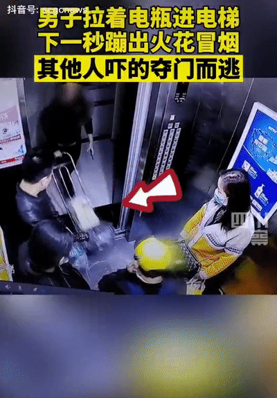 它一进电梯,大家都夺门而出!