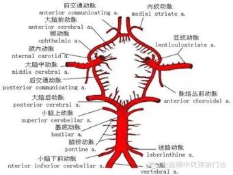 突然看不清或许就是脑中风