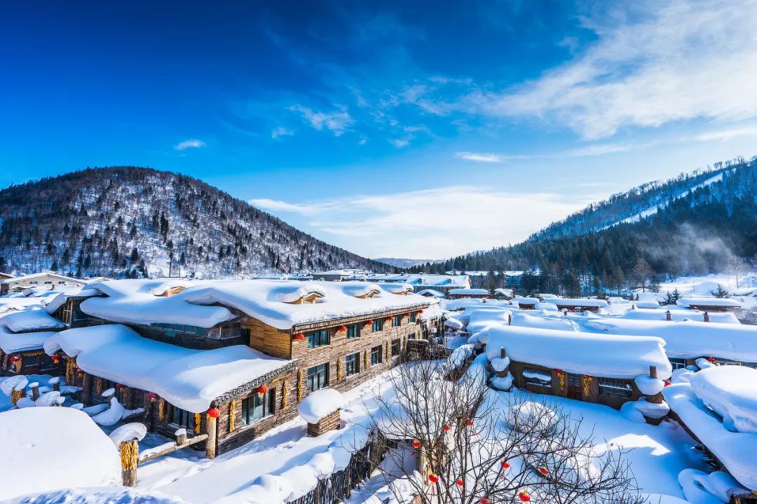 下雪了?东北也太刺激了吧