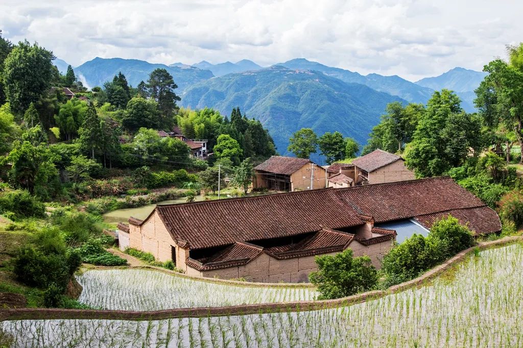 【印象民宗】东源村:屋种太阳 茶香满山