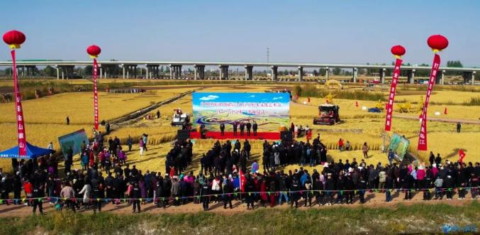 寻梦田园甘州区新河田园综合体首届稻米文化艺术节开幕