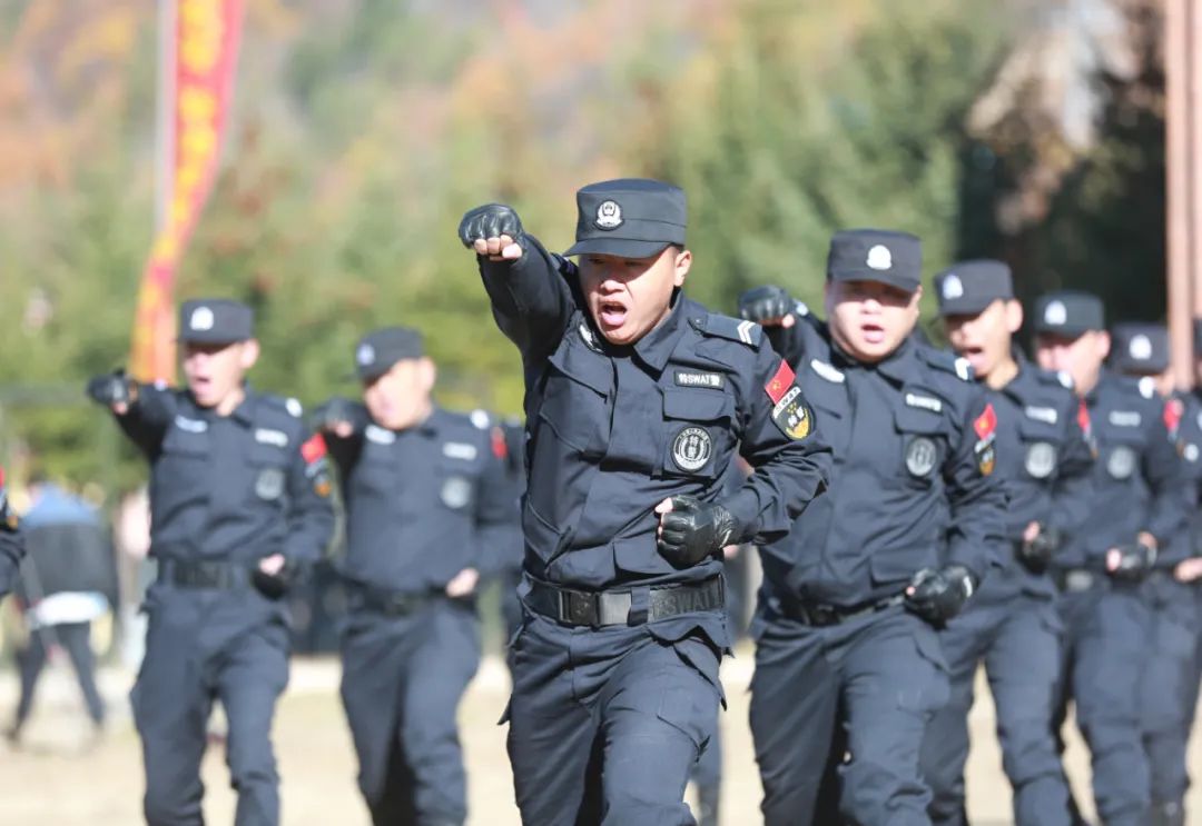 全市公安特警实战技能比武竞赛风采掠影(一)_澎湃号·政务_澎湃新闻-t