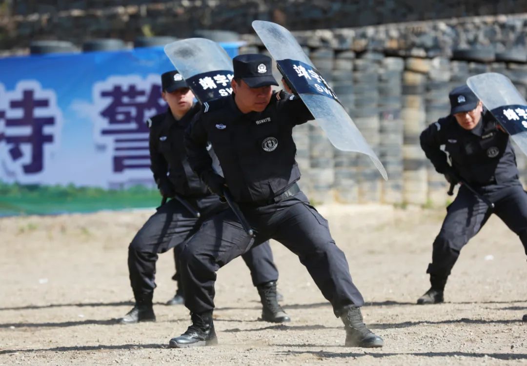 全市公安特警实战技能比武竞赛风采掠影(一)_澎湃号·政务_澎湃新闻-t
