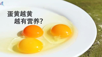 蛋黄越“黄”就越营养？