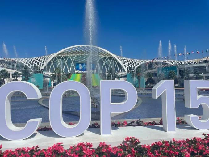 cop15会场免费参观!内附路线攻略,快去打卡吧