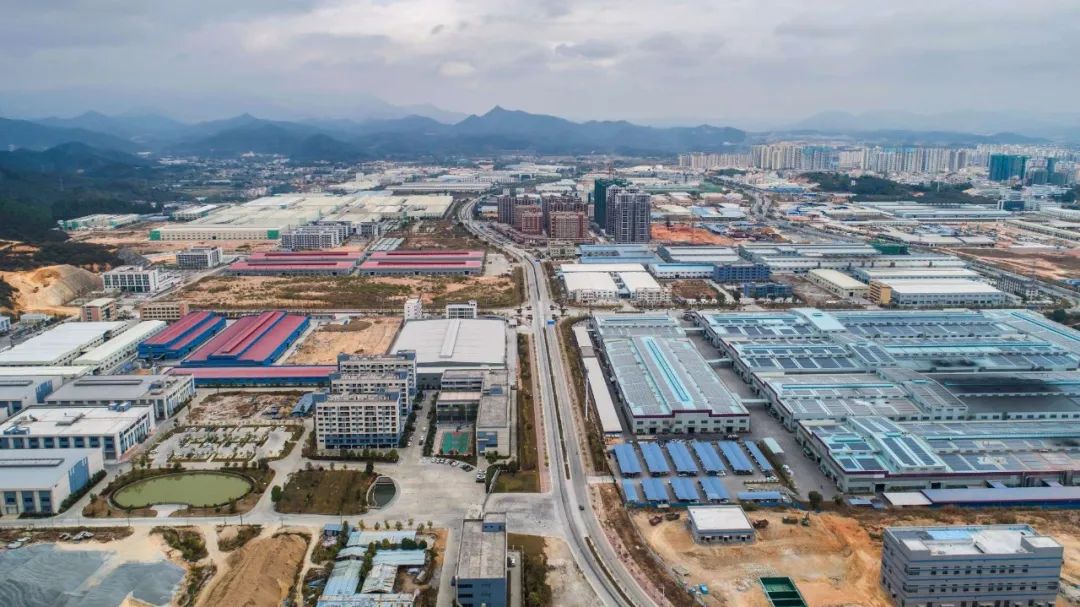 镇委书记在干啥② | 新兴县新城镇:全力以赴当好镇域经济发展排头兵