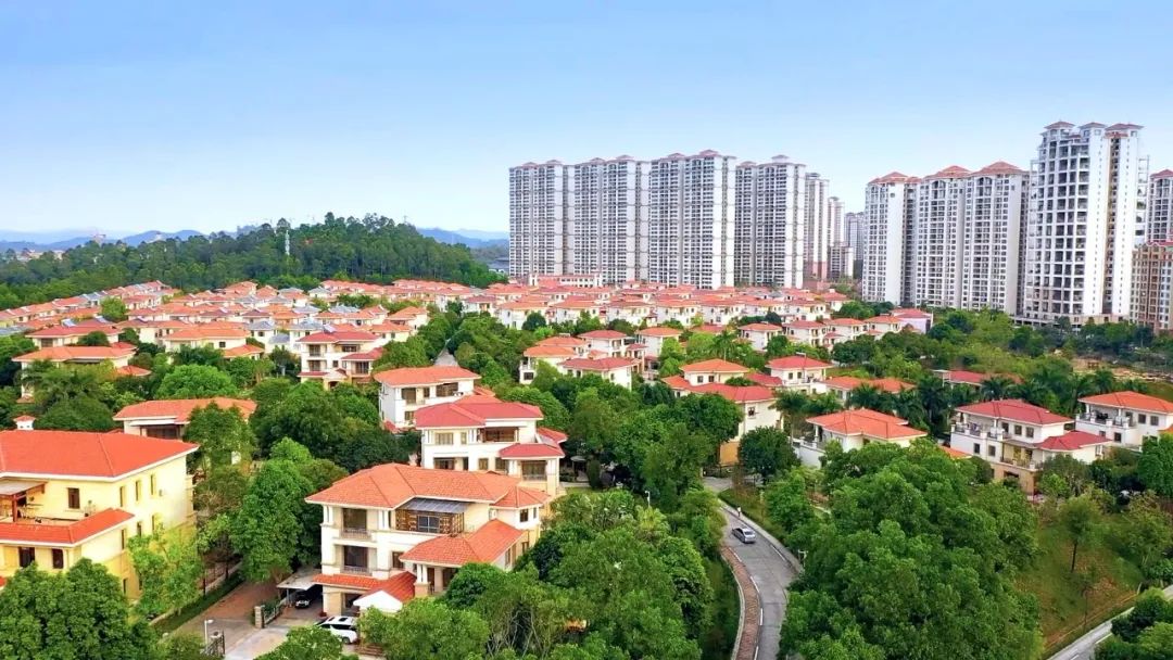 镇委书记在干啥②新兴县新城镇全力以赴当好镇域经济发展排头兵