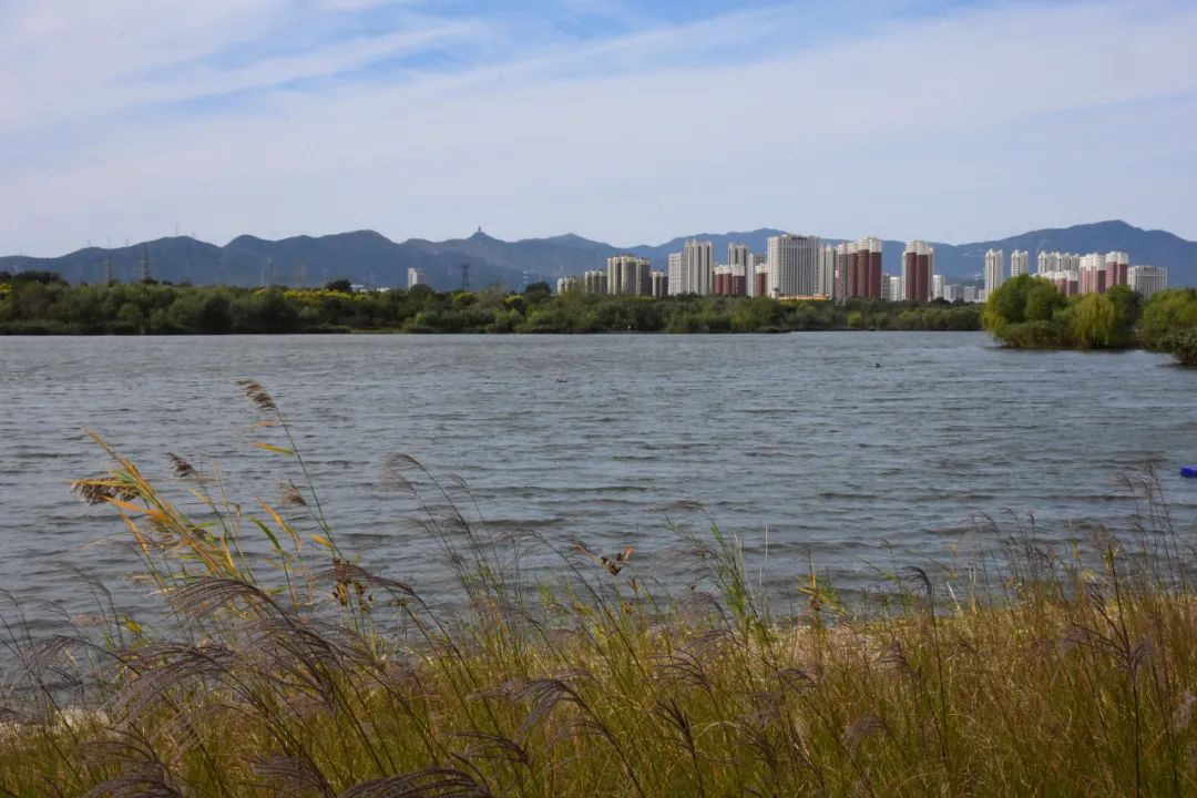 永定河河道公园图片