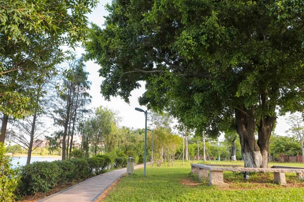 秋高气爽东莞这里太适合秋游啦