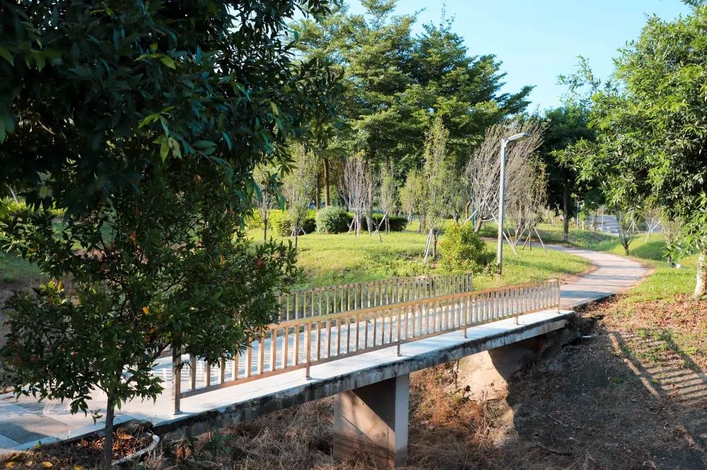 秋高气爽东莞这里太适合秋游啦