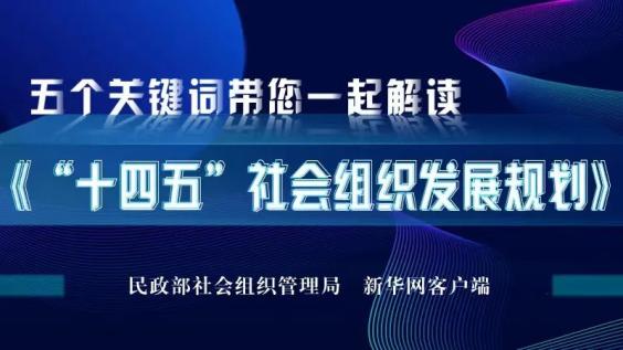 图解|五个关键词带您一起解读"十四五"社会组织发展规划》