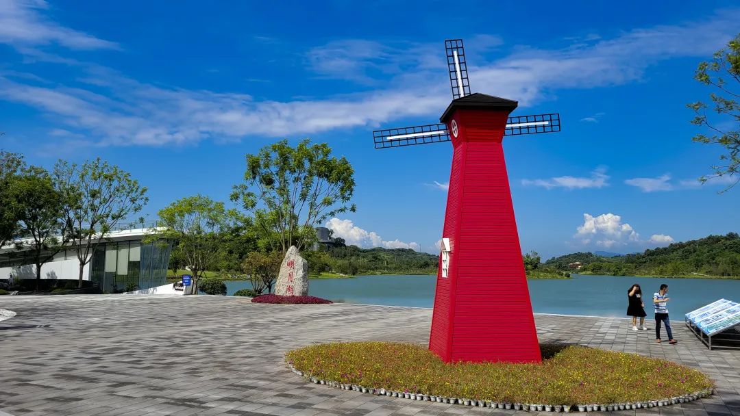 美美美渝北明月湖秋意正浓处处皆诗境