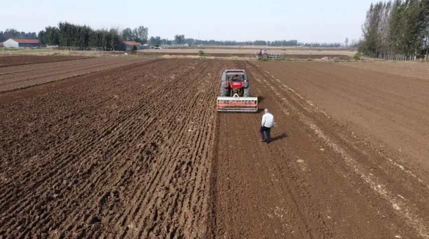 【民生】即墨:金秋时节农民抢抓农时播种优质小麦