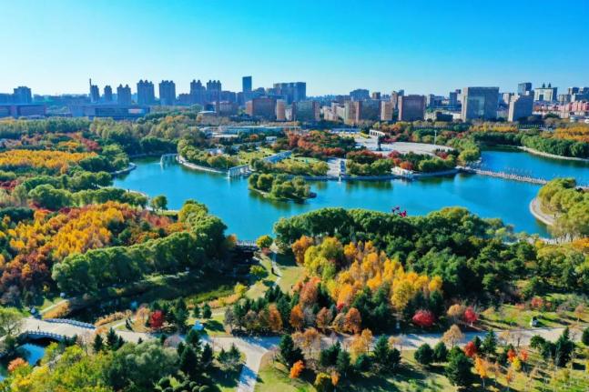 美了美了!长春的深秋美景你打卡了吗?