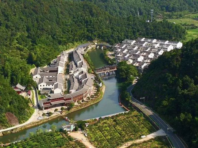 台报头条丨三门岩下潘村点绿成金铺就共富路