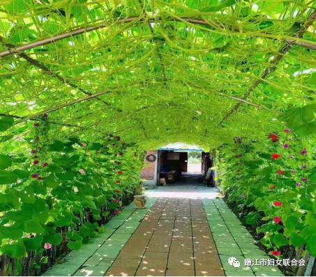 美丽乡村建设进行时27嫩江市海江镇推进美丽家园创建点靓美丽乡村