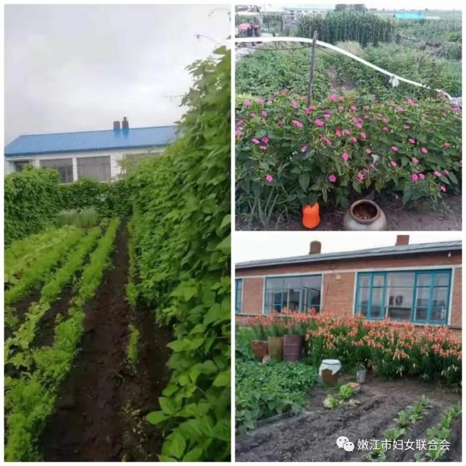 美丽乡村建设进行时27嫩江市海江镇推进美丽家园创建点靓美丽乡村