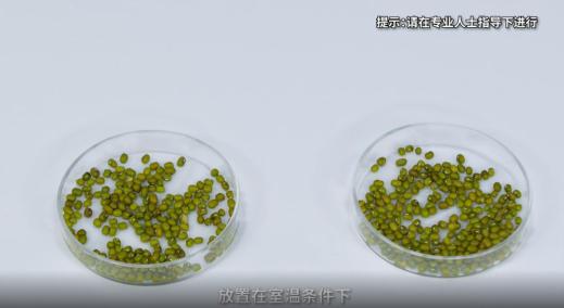 清水,柠檬酸粉,粉笔实验仪器:培养皿,滤纸,烧杯,滴管原理:酸雨抑制