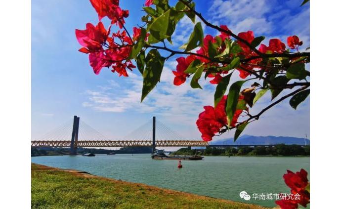 澎湃新闻 专注时政与思想 thepaper.cn