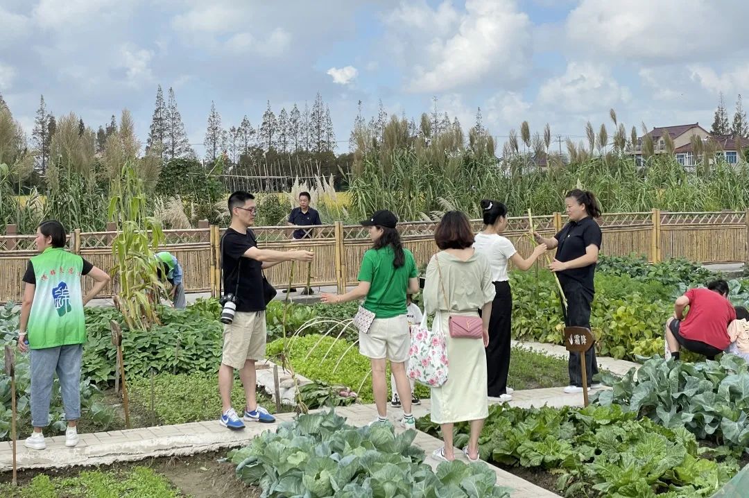 开心农场现实图片