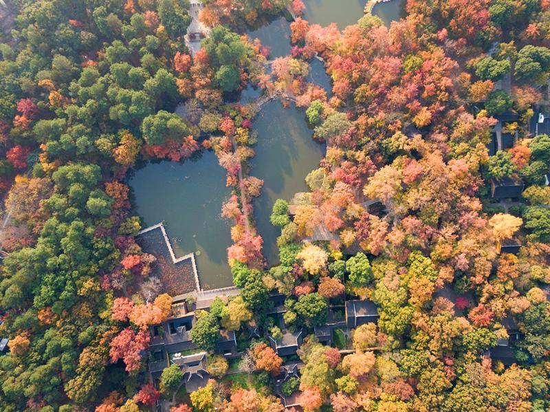 秋天這麼短暫快來來天平山賞紅楓吧