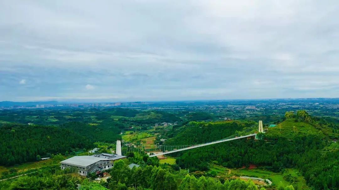 贾家镇最新城市规划图图片